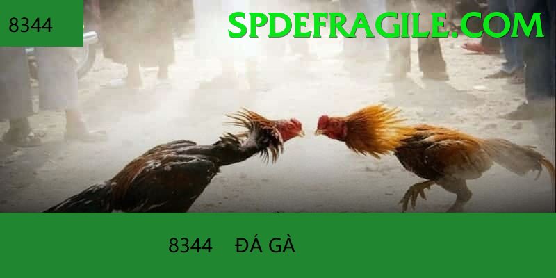 Đá Gà Trực Tiếp - 58WIN